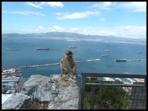 Gibraltar




